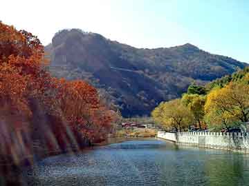 澳门二四六天天彩图库，现代都市小说